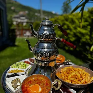 Sky Hisar فيلة